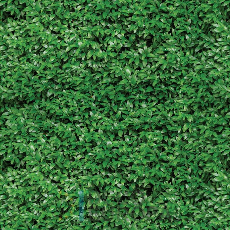 Mural Hojas Verdes y Tropicales - PDF05