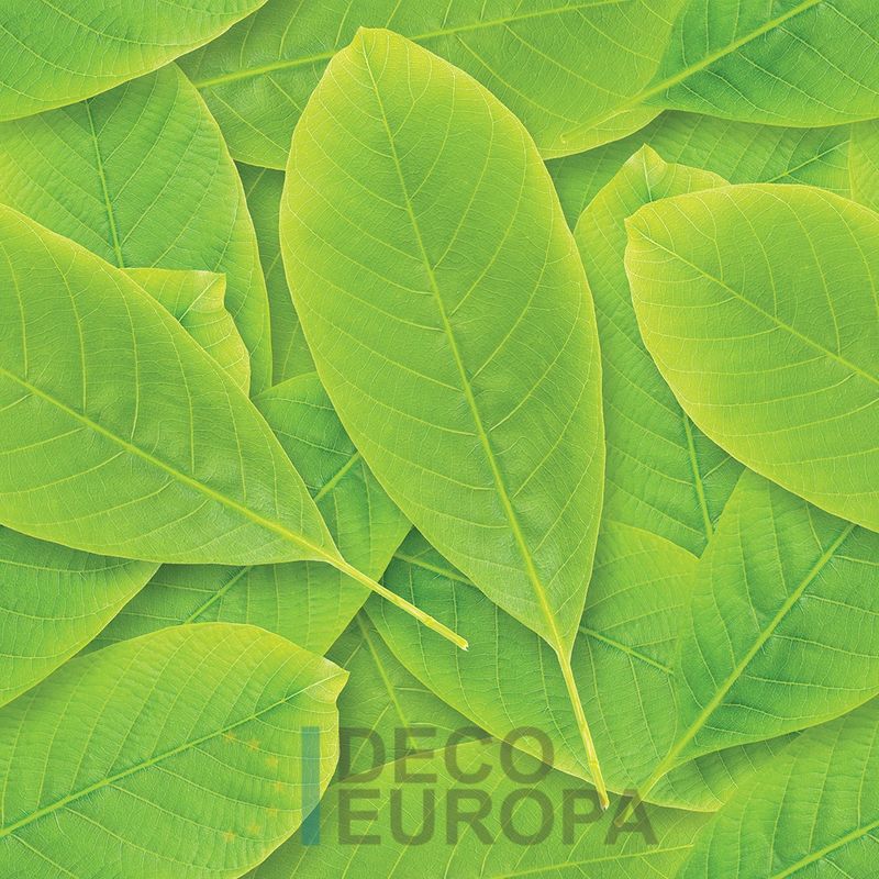 Mural Hojas Verdes y Tropicales - PDF14