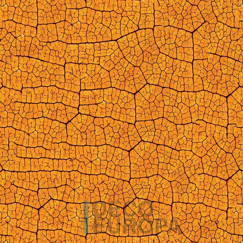 Mural Hojas Verdes y Tropicales - PDF40