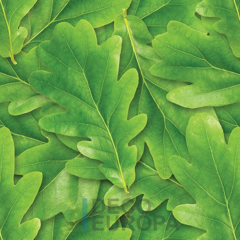 Mural Hojas Verdes y Tropicales - PDF43