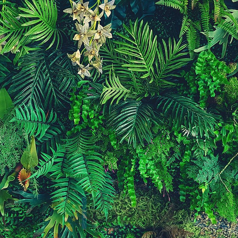 Mural Hojas Verdes y Tropicales - PDF60