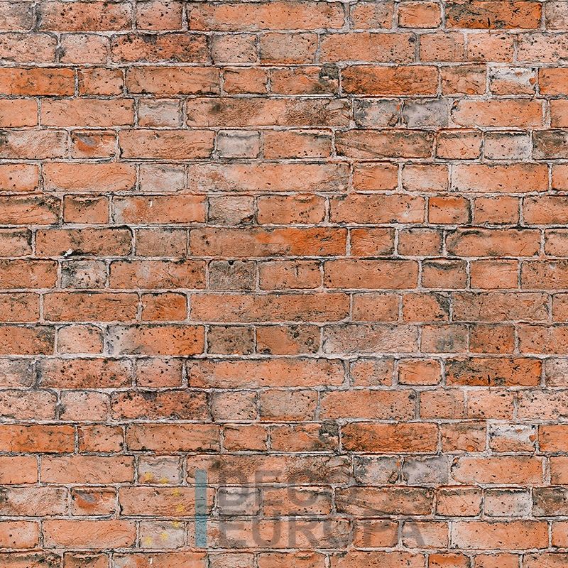 Mural Ladrillos - PDSDT035