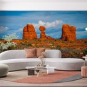 Mural Estados Unidos - Parque Nacional Aches