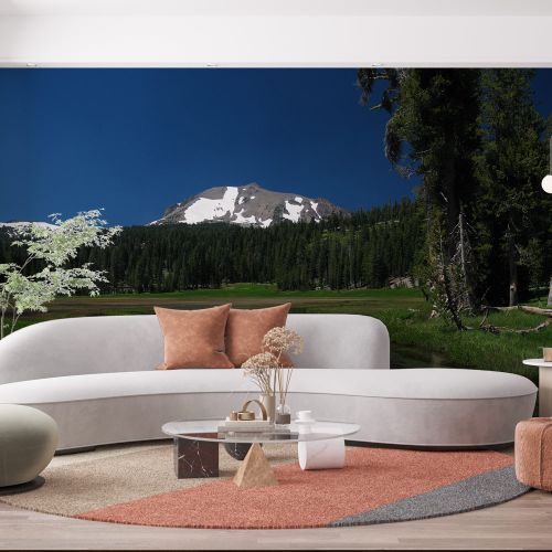 [1308] Mural Estados Unidos - Lassen