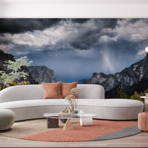 [1309] Mural Estados Unidos - Park California