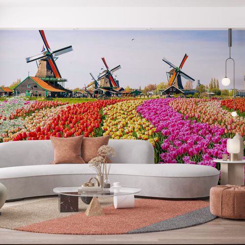 [1339] Mural Dinamarca - Amsterdam Tulipanes