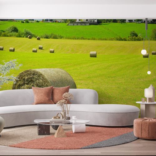 [1345] Mural Austria - Alpes Campo