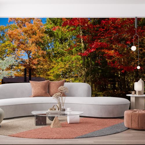 [1358] Mural Estados Unidos - Wisconsin Arboleda Otoño