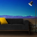 Mural Alemania - Desierto Salta