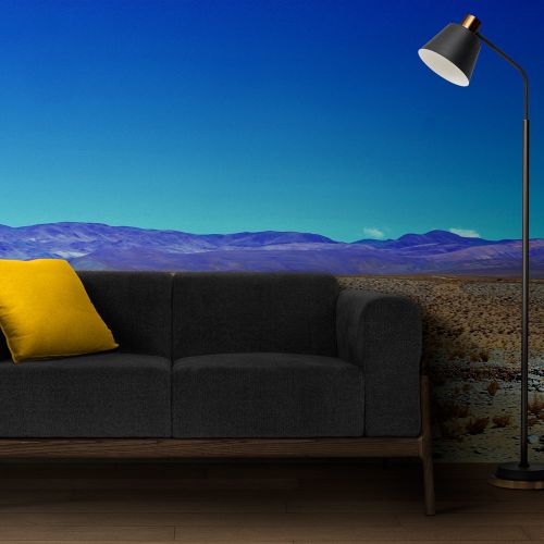 [1382] Mural Alemania - Desierto Salta