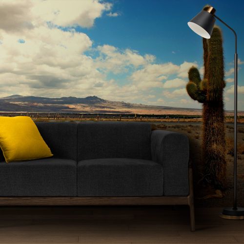 [1392] Mural Alemania - Desierto Salta Cielo Azul