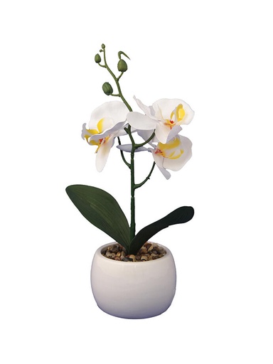 [MCC7061] Orquidea en Maceta Ceramica