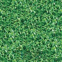 Mural Hojas Verdes y Tropicales - PDF02