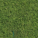 Mural Hojas Verdes y Tropicales - PDF04