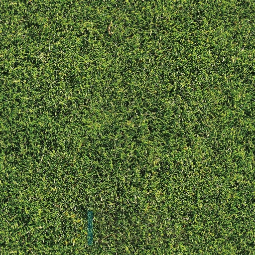 [PDF04] Mural Hojas Verdes y Tropicales - PDF04