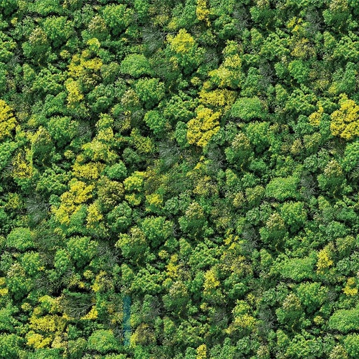 [PDF08] Mural Hojas Verdes y Tropicales - PDF08