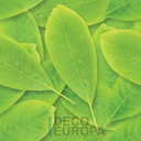 Mural Hojas Verdes y Tropicales - PDF14