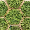 Mural Hojas Verdes y Tropicales - PDF16