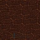 Mural Hojas Verdes y Tropicales - PDF41