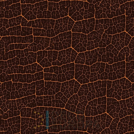 [PDF41] Mural Hojas Verdes y Tropicales - PDF41