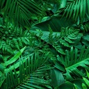 Mural Hojas Verdes y Tropicales - PDF55