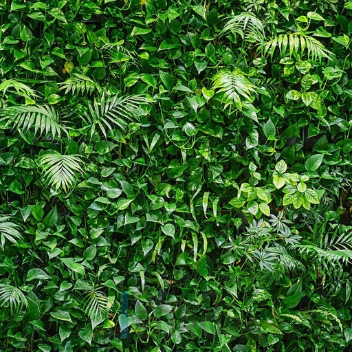 [PDF58] Mural Hojas Verdes y Tropicales - PDF58