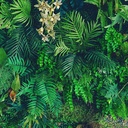 Mural Hojas Verdes y Tropicales - PDF60