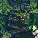 Mural Hojas Verdes y Tropicales - PDF64