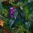 Mural Hojas Verdes y Tropicales - PDF65